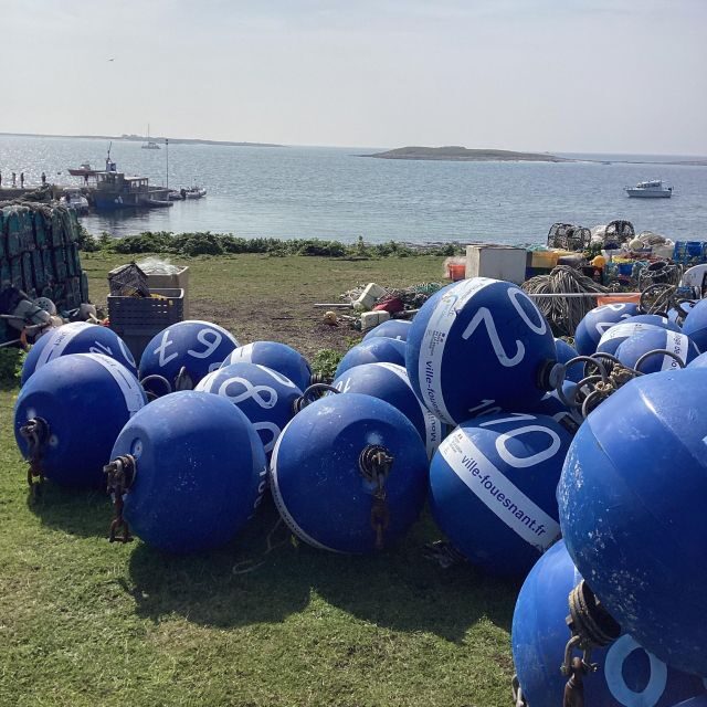 Glénan islands discover, full or half day privatization - Practical Details and Tips