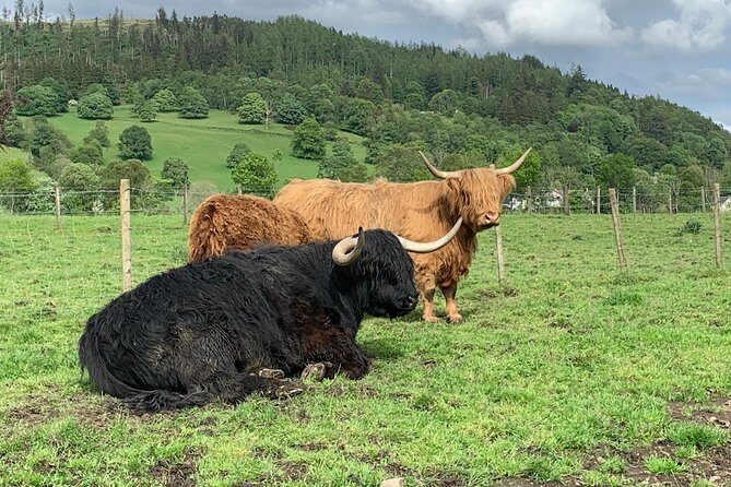 Glencoe, Central Highlands, Rob Roy, Whisky, Private Tour - Who Is This Tour Best For?