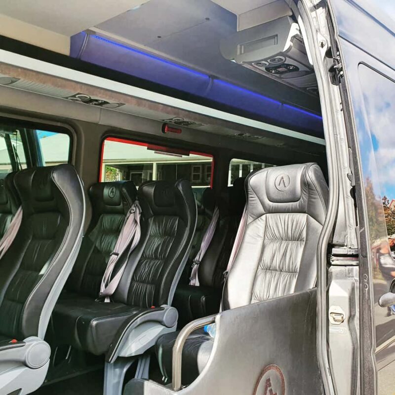 Glenorchy Kiwi Special Tour, from Queenstown - The Overall Value