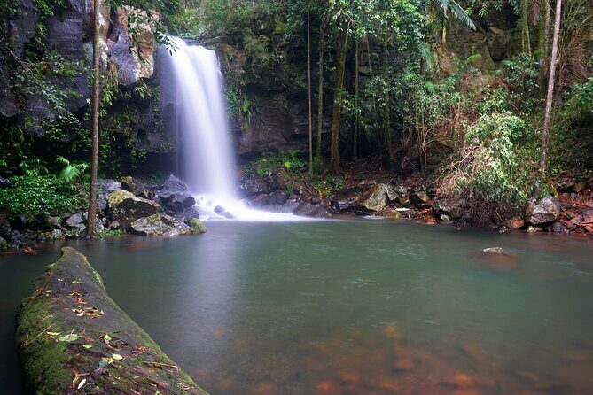 Glow Worms - Nocturnal Rainforest/Waterfall Adventure - An Honest Look at the Experience