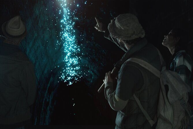 Glow-worms, Waterfalls & Rainforest Experience - Key Points