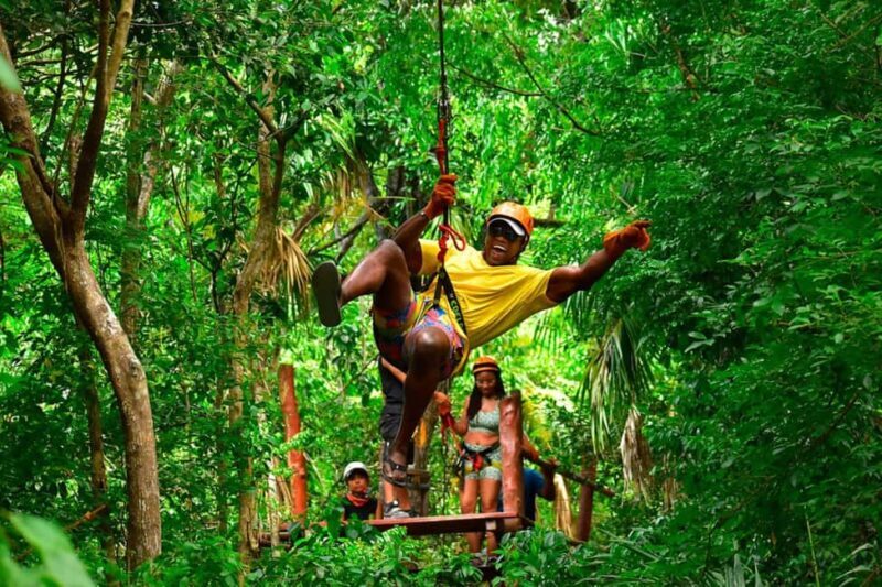 Go City Cancun Explorer Pass: Save up to 50% on Attractions - Key Points