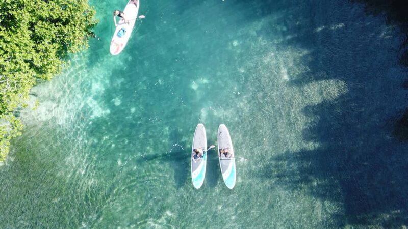 Go City Cancun Explorer Pass: Save up to 50% on Attractions - The Sum Up