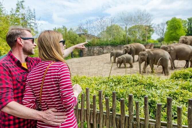 Go City: Dublin Explorer Pass - Choose 3, 4, 5 or 7 Attractions - FAQ: Your Practical Questions Answered