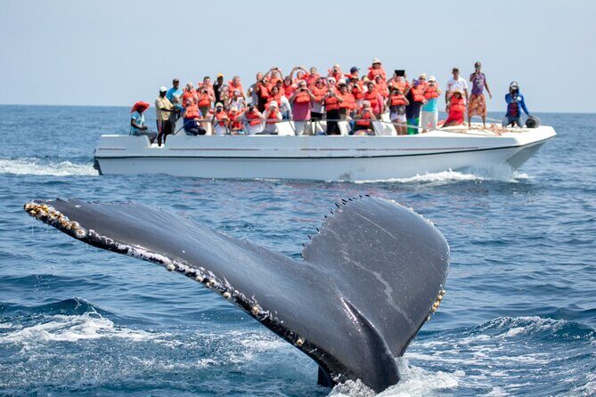 Go City: Los Angeles Explorer Pass - Choose any 2, 3, 4, 5 or 7 Attractions - What’s Included and How It Works