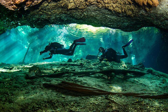 Go for 2 dives in cenote Dos ojos for certified divers - Is It Worth the Price?