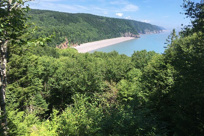 Go Fundy Tours - The Sum Up