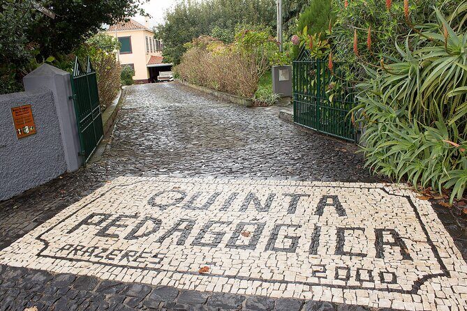 Go South Tour - Madeira Island Excursion - What Makes This Tour Worth It