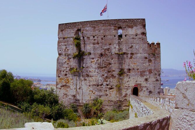 Go Tours 360° Experience in Gibraltar with Professional Guide - Final Thoughts