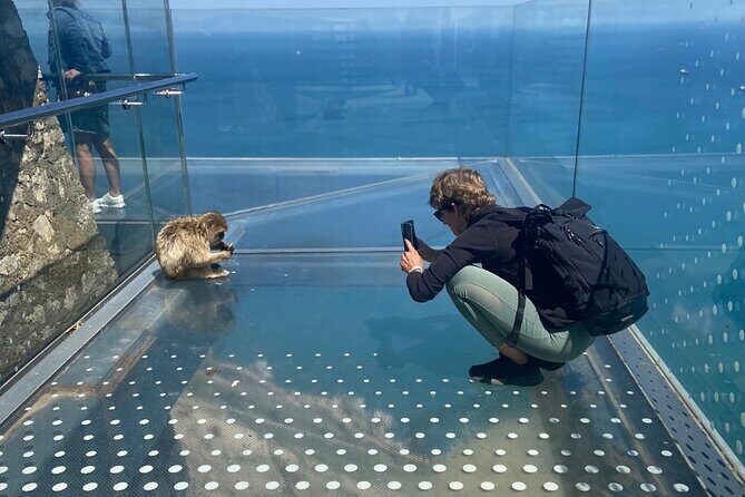 Go Tours 360° Experience in Gibraltar with Professional Guide - FAQ