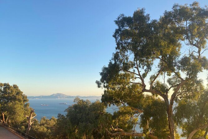 Go Tours Private Rock Experience Tour in Gibraltar - The Sum Up: Is It Worth It?