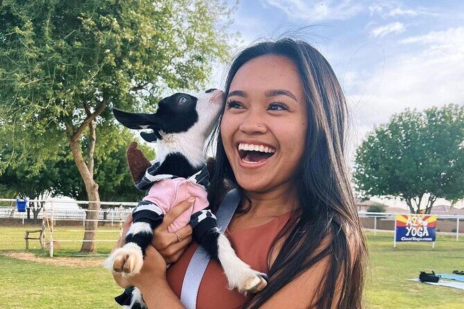 Goat and Alpaca Sound Bath - Gilbert Arizona - The Interaction with Animals