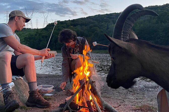 Goat Hiking, Beaver Dam Visit and picnic in Quebec forest - Who Will Love This Tour?