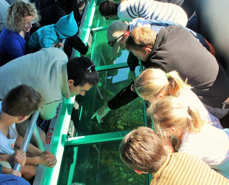 Goat Island: Glass Bottom Boat Tour - An Overview of the Goat Island Glass Bottom Boat Experience