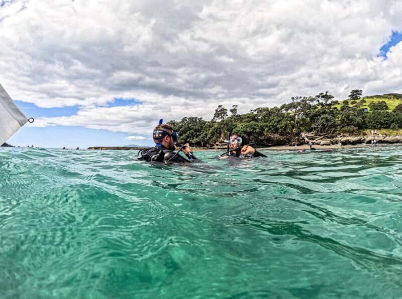 Goat Island Try Scuba Diving Experience - Key Points
