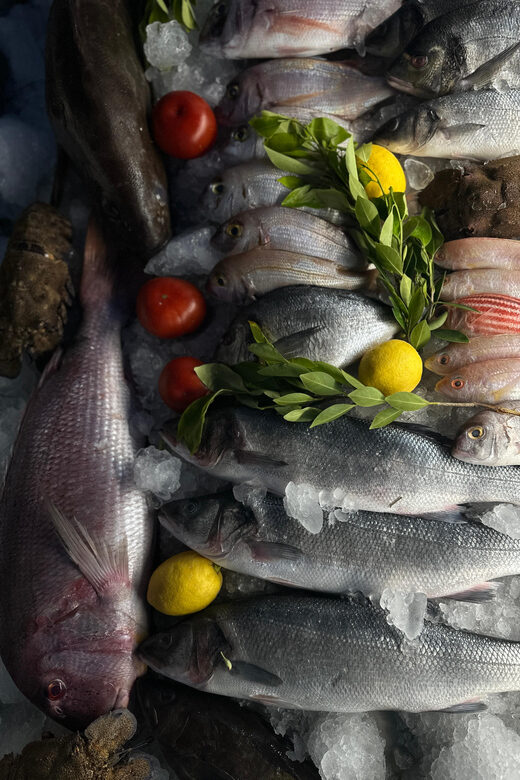 Göcek: Turkish and Greek Food Exprience With Live Music - Final Thoughts