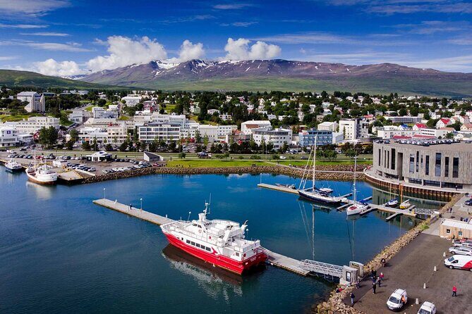 Goðafoss Waterfall & Forest Lagoon from Akureyri Port - What’s Included and What to Keep in Mind