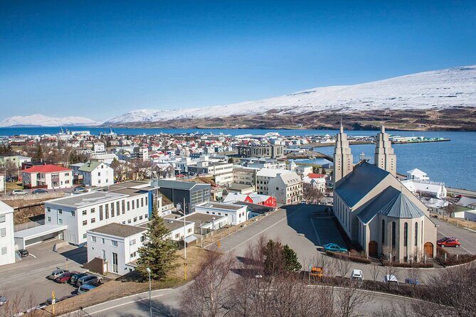 Goðafoss Waterfall from Akureyri Port - Who Should Consider This Tour?