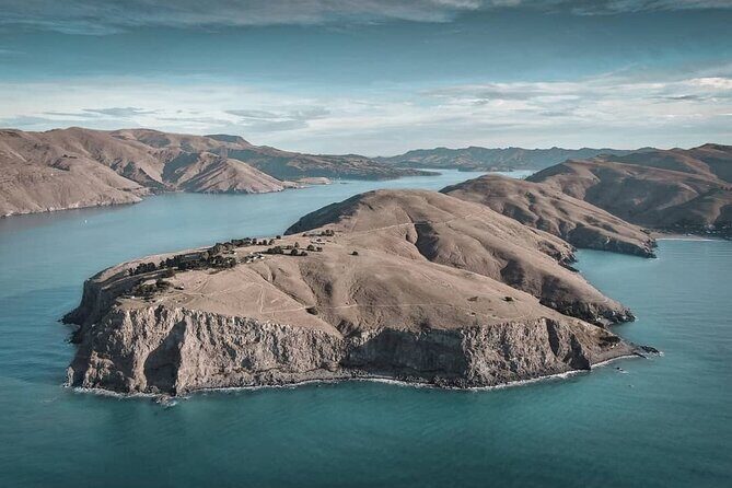 Godley Head & Lyttelton Scenic Drive & Guided Walk (Private Tour) - An In-Depth Look at the Tour Experience