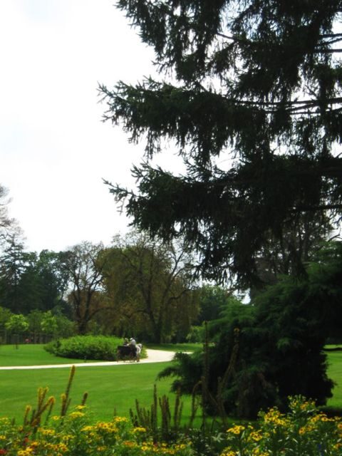 Godollo Royal Palace Full-Day Tour from Budapest - Experience Breakdown: What to Expect on the Tour