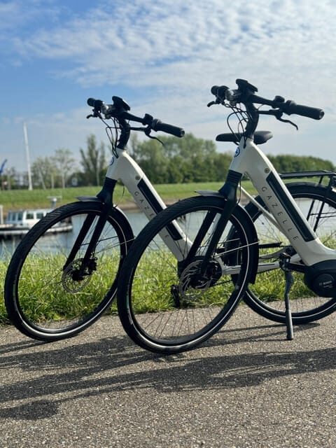 Goes: Full-Day E-Bike Rental - Who Should Consider This Experience?