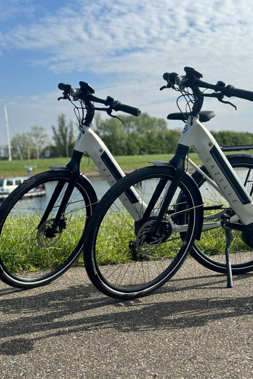 Goes: Full-Day E-Bike Rental - Final Thoughts