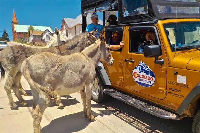 Gold Belt Scenic Byway Jeep Tour from Cañon City - The Sum Up