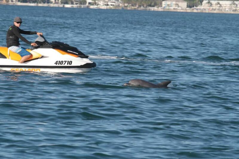 Gold Coast: 30 min Jet Ski Hire - No Slow Zones - What You Can Expect from the Experience