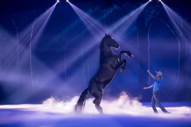 Gold Coast: Australian Outback Spectacular Dinner & Show - Key Points