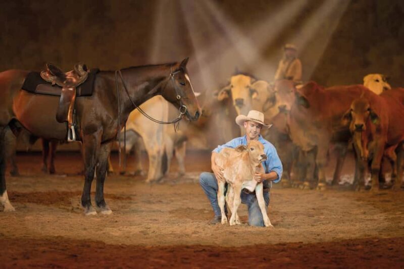 Gold Coast: Australian Outback Spectacular Dinner & Show - Seating and Accessibility