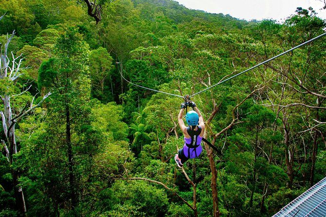 Gold Coast Canyon Flyer Zipline Tour - The Downsides
