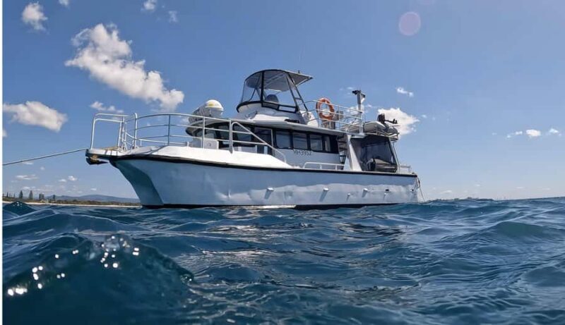 Gold Coast: Cook Island Marine Reserve Scuba Experience Dive - Key Points