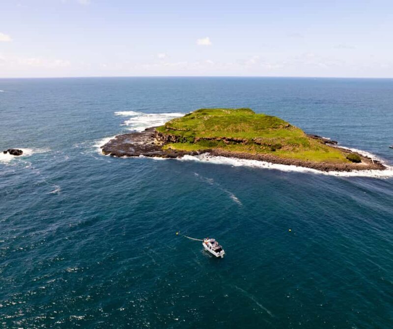 Gold Coast: Cook Island Marine Reserve Scuba Experience Dive - FAQ