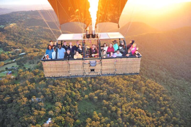 Gold Coast: Hot Air Balloon Flight with Buffet Breakfast - Real Traveler Feedback: What People Are Saying