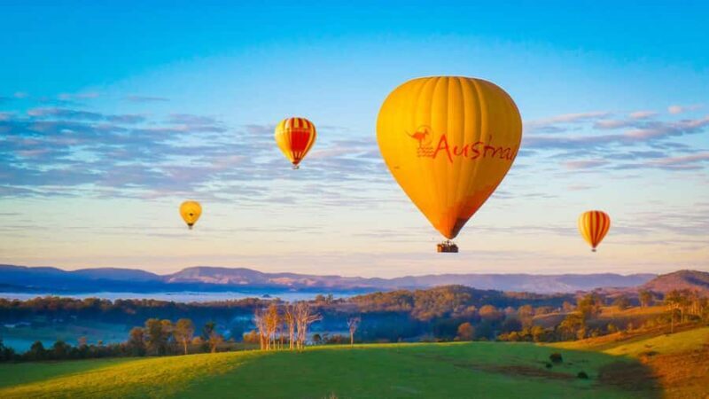 Gold Coast: Hot Air Balloon Flight+Vineyard Breakfast+Alpaca - The Experience: What to Expect