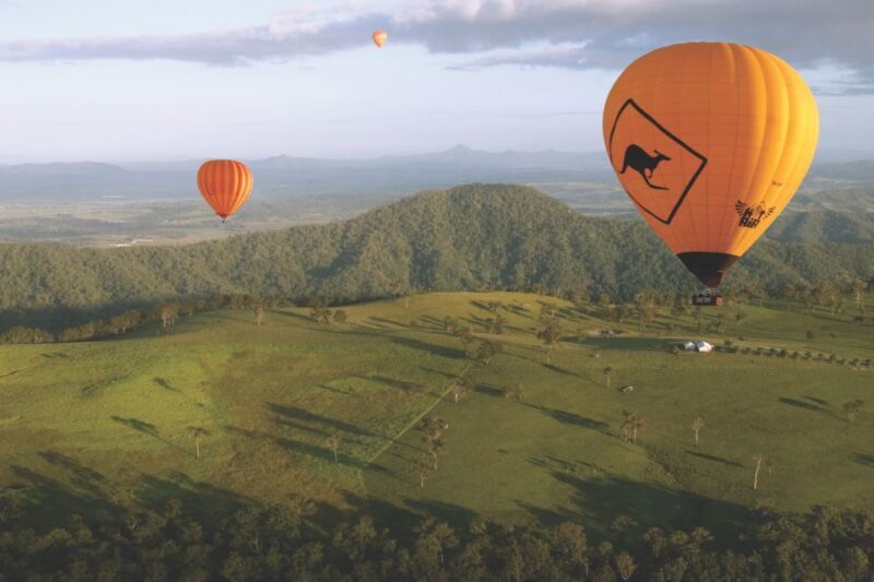 Gold Coast: Hot Air Balloon Flight+Vineyard Breakfast+Alpaca - Who Should Consider This Tour?