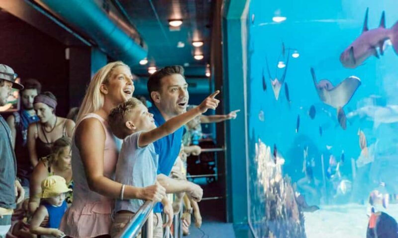 Gold Coast: Jet Boat Ride & Sea World Entry Ticket - Key Points