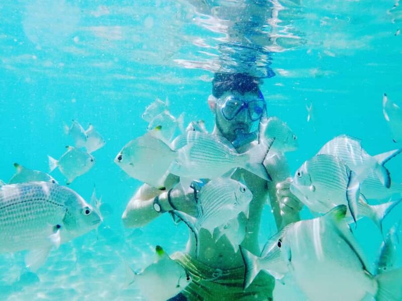 Gold Coast: Kayaking and Snorkeling Guided Tour - The Experience: Pros and Cons