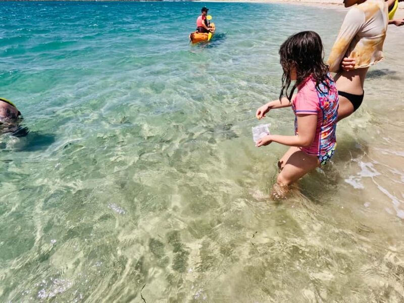 Gold Coast: Kayaking and Snorkeling Guided Tour - Final Thoughts