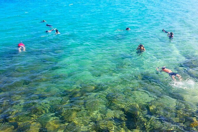 Gold Coast Kayaking & Snorkelling Tour (2.5 Hours) - Key Points