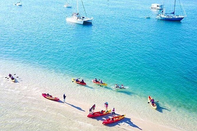 Gold Coast Kayaking & Snorkelling Tour (2.5 Hours) - An In-Depth Look at the Experience