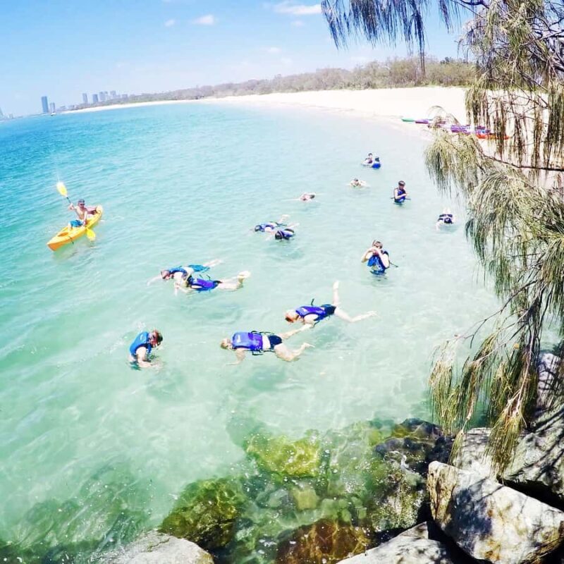Gold Coast: Kayaking & Snorkelling Tour with Fish Feeding - Key Points