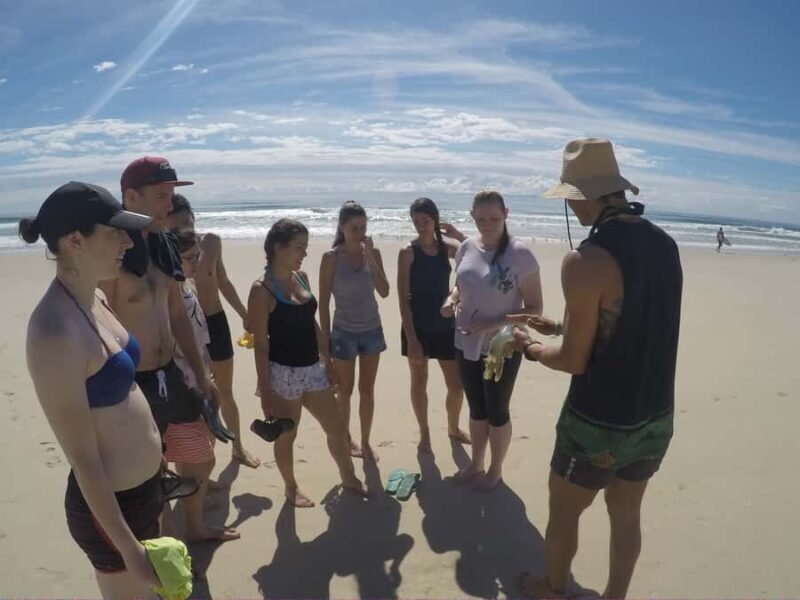 Gold Coast: Kayaking & Snorkelling Tour with Fish Feeding - FAQ