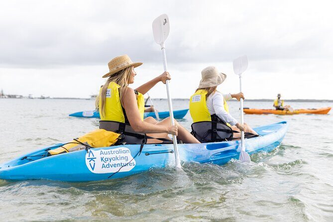 Gold Coast: Morning Kayak & Snorkel Adventure with Breakfast - What to Expect from the Tour