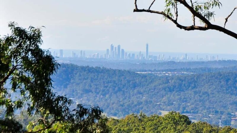 Gold Coast: Mount Tamborine Kangaroo and Koala Day Tour - The Scenic Drive and Convenience