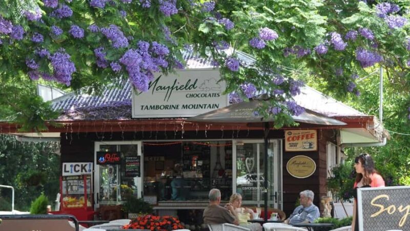 Gold Coast: Mount Tamborine Kangaroo and Koala Day Tour - What’s the Value Like?