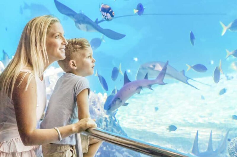 Gold Coast: Movie World, Sea World & Wet'n'Wild 7-Day Pass - What to Expect from the Pass