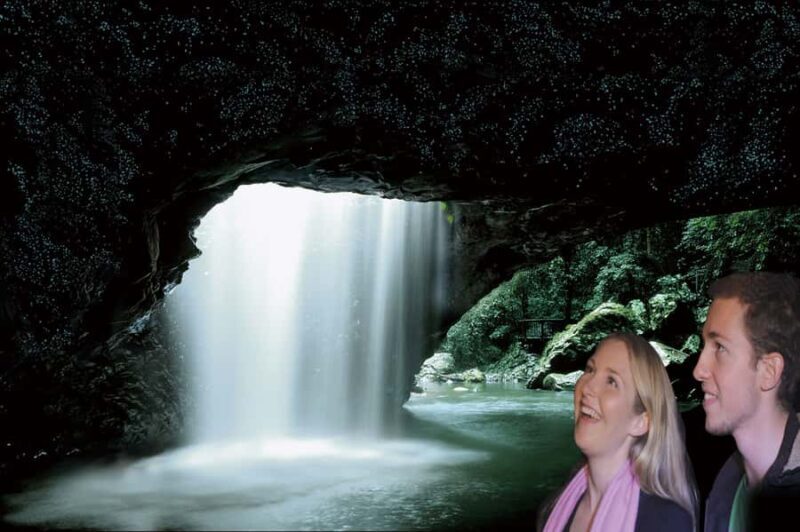 Gold Coast: Natural Bridge Glow Worm Night Tour - The Experience from Reviews