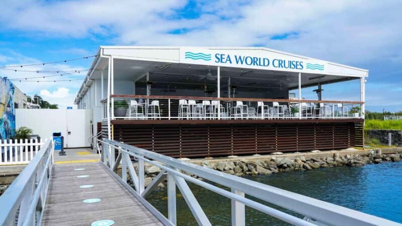 Gold Coast: Premium Whale Watching Cruise - Frequently Asked Questions