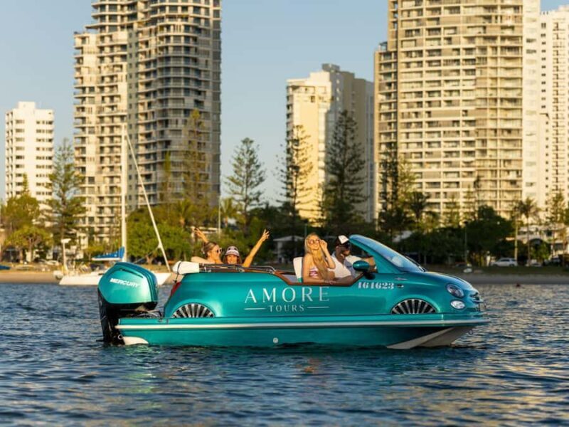 Gold Coast: Private City Lights Tour - Key Points